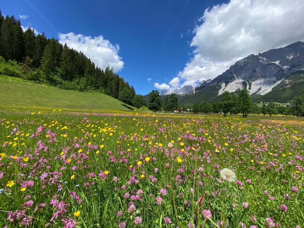 Moderne Kaminstube Apartamento Ramsau am Dachstein Exterior foto